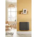 Radiateur Divali Néo Pilotage Intelligent connecté - Horizontal 1250W Gris étoil