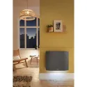 Radiateur Divali Néo Pilotage Intelligent connecté - Horizontal 750W Gris étoilé
