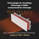 Eco Smart Radiateur Premium connecté (WIFI), Blanc Brillant,700W