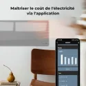 Eco Smart Radiateur Premium connecté (WIFI), Gris Noble, Affichage Ecran LED,700