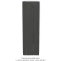 Fassane Premium EL V, commande RF, couleur Umbra Grey, 2000W, H2217mm / L666mm