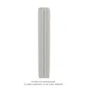 Fassane Premium EL V, commande RF, couleur Telegrey 4, 1000W, H2217mm / L296mm