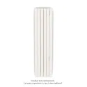 Fassane Premium EL V, commande RF, couleur Light Beige, 1000W,H1817mm / L444mm