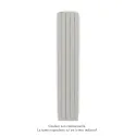 Fassane Premium EL V, commande RF, couleur Telegrey 4, 1000W, H2017mm / L370mm