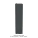 Fassane Premium EL V, commande RF, couleur Black Matt, 1500W, H2017mm / L592mm