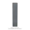 Fassane Premium EL V, commande RF, couleur Anthracite, 1250W, H2217mm / L444mm