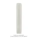 Fassane Premium EL V, commande RF, couleur White Quartz, 750W,H2017mm / L296mm
