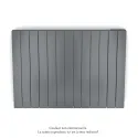 Fassane Premium EL H, commande RF,Anthracite 0346, 1250W H700 mm / L979 mm