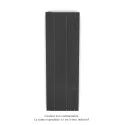 Fassane Premium EL V, commande RF,couleur Anthracite Grey, 1500W,H1817mm/L592mm