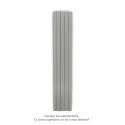 Fassane Premium EL V, commande RF, couleur Inox Look, 1000W, H2017 mm / L370 mm