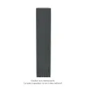 Fassane Premium EL V, commande RF, couleur Black Matt, 1250W, H2217mm / L444mm