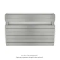 Régate EC double, couleur Inox Look, 1043W, H 666 mm / L 1000 mm