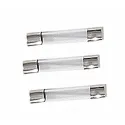 10 fusibles temporisés 5 x 20mm de 8A