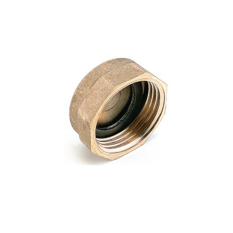 Lot de 10 bouchons de terminaison femelle avec joint Femelle 1" - Réf : 9761008