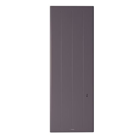 Thermor Ovation 3 ref 430304 1000 Watts Vertical Gris Ardoise