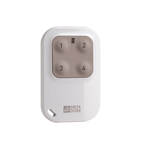 Télécommande porte-clé TYXIA 1410 6351389