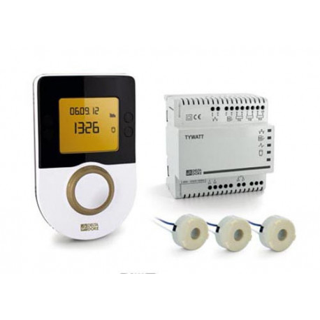 Indicateur de consommation TYWATT 1000 230 Volts