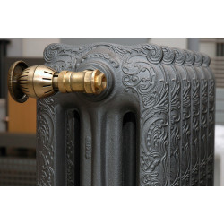 Radiateur eau chaude Floréal Orné 1872 Watts, Hauteur 750 mm