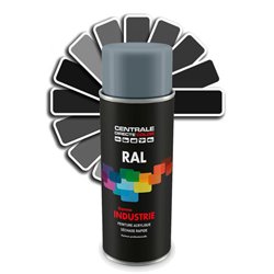 Bombe de peinture GFN C13900325 gris fonte  150 mL
