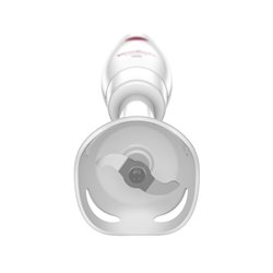 Mixeur plongeant - Turbomix DD12A110