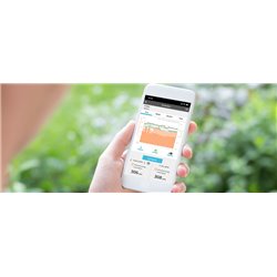 Interface WLAN 