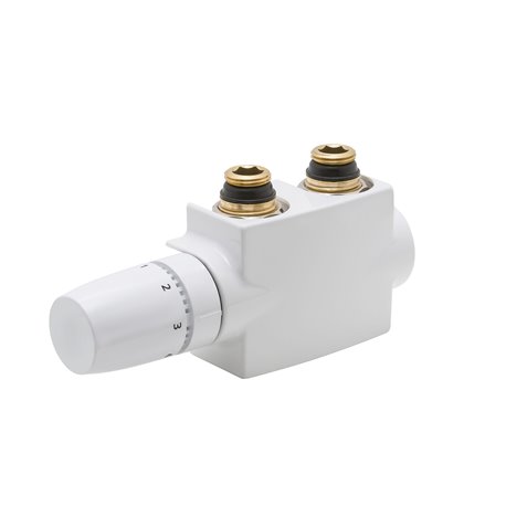 Robinet à soupape avec tête thermostatique R50DESBL