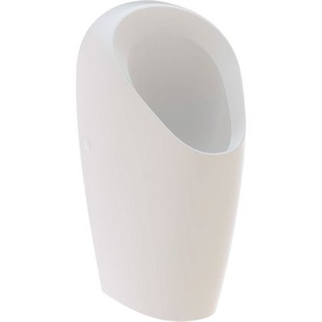 Urinoir Geberit, 116.081.00.1