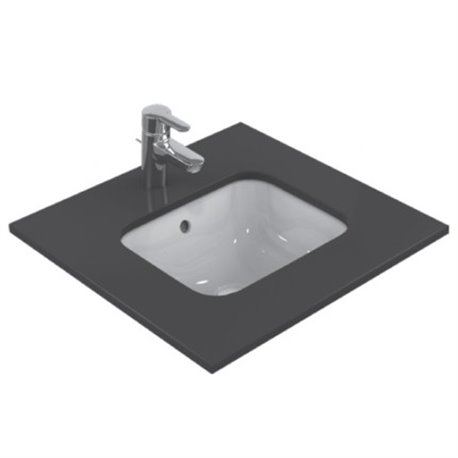Vasque Connect E505801 50x38 cm avec trop plein