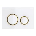Sigma21 115.652.SI.1 Anneaux métallique laiton, recouvrement et touches Blanc