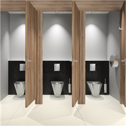 Bâti-support Tempofix 3 564060+763000 en applique plaque inox satiné
