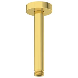 Fixation pomme de tête B9446A2 15 cm Or Brossé