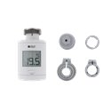 Tête thermostatique 6050649 TRV1.0 ADAPT avec adaptateur