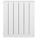 Radiateur fluide caloporteur Accessio Digital 2 2000 Watts 