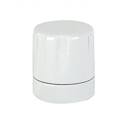 Tëte manuelle blanche pour raccordement eau chaude