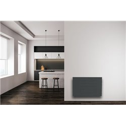 Radiateur à inertie SPH-Z plus Anthracite 1000 Watts
