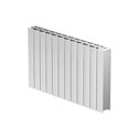 Radiateur fluide caloporteur Axino 2000 Watts
