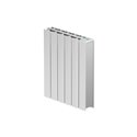 Radiateur fluide caloporteur Axino 1500 Watts