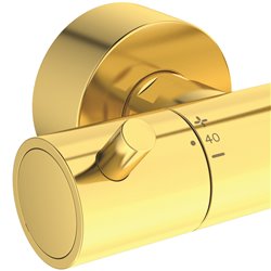 Ensemble de douche Ceratherm T125 Or brossé
