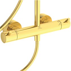 Ensemble de douche Ceratherm T125 Or brossé