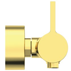 Mitigeur douche Joy or brossé