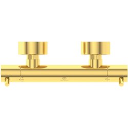 Mitigeur thermostatique douche Ceratherm T125 Or brossé