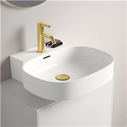 Mitigeur lavabo monotrou Joy or brossé, tirette et vidage bonde métal