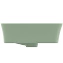 Vasque Ipalyss Sauge 55x38 cm avec trop plein et sans plage de robinetterie