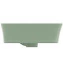 Vasque Ipalyss Sauge 55x38 cm avec trop plein et avec plage de robinetterie