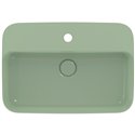 Vasque Ipalyss Sauge 55x38 cm avec trop plein et avec plage de robinetterie
