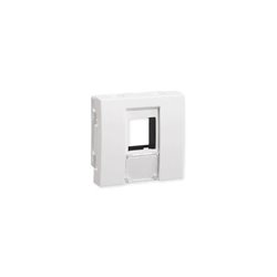 Lot de 10 plastrons keystone TerCia 2 modules blanc