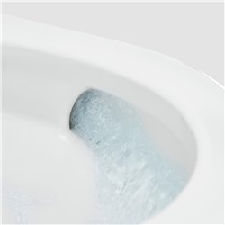 WC à poser Inspira In-Wash lavant avec In-Tank, 38,5x58,5x48,5 cm