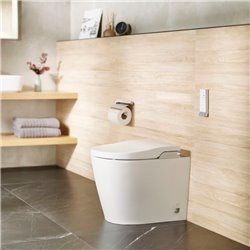 WC à poser Inspira In-Wash lavant avec In-Tank, 38,5x58,5x48,5 cm