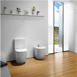 WC à poser Meridian abattant frein de chute, 37x76x60 cm