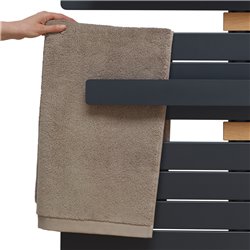 Sèche serviette électrique Allure 3 Virtuose 750+1000 Watts, Mât à gauche Vert Eucalyptus